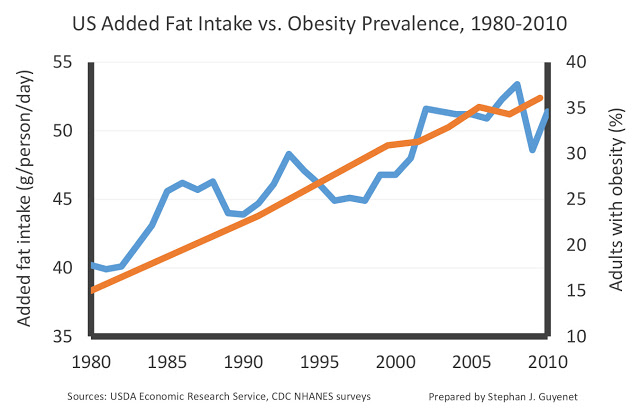 Added fat vs. obesity