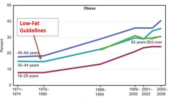 low fat low carb fat gain