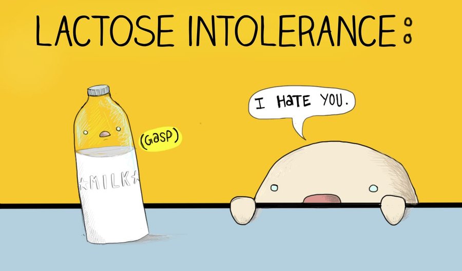 lactose intolerant protein farts