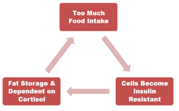 insulin02